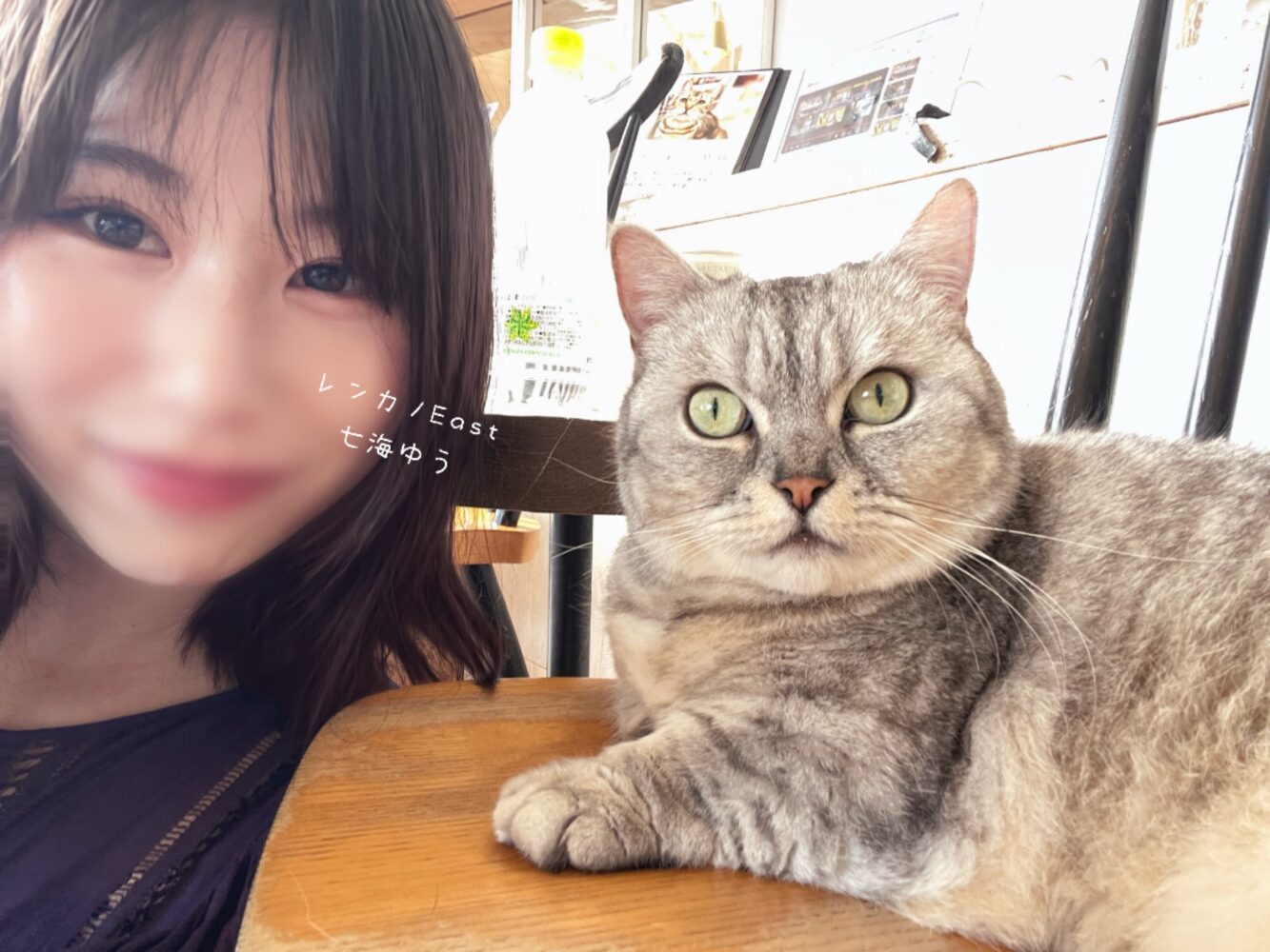 きゃわ....🐱✨