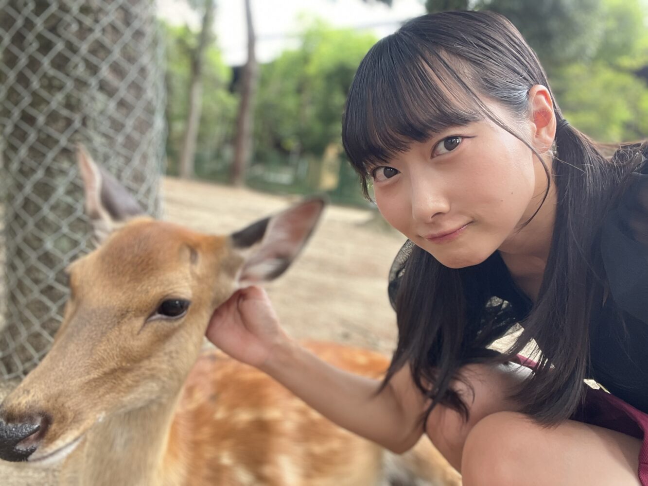 久しぶりの奈良県🦌