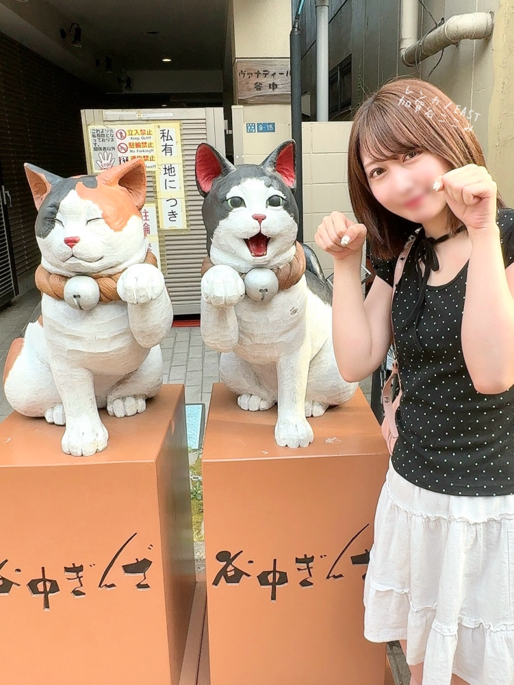 にゃんこの街 🐈 ˖ ࣪⭑