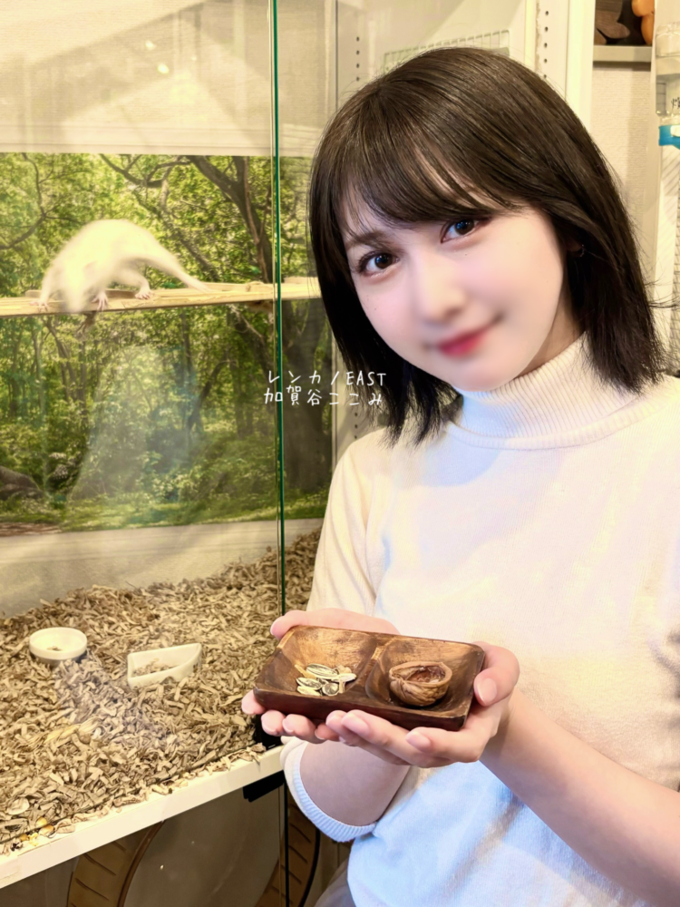 シマリスカフェ🐿️♡