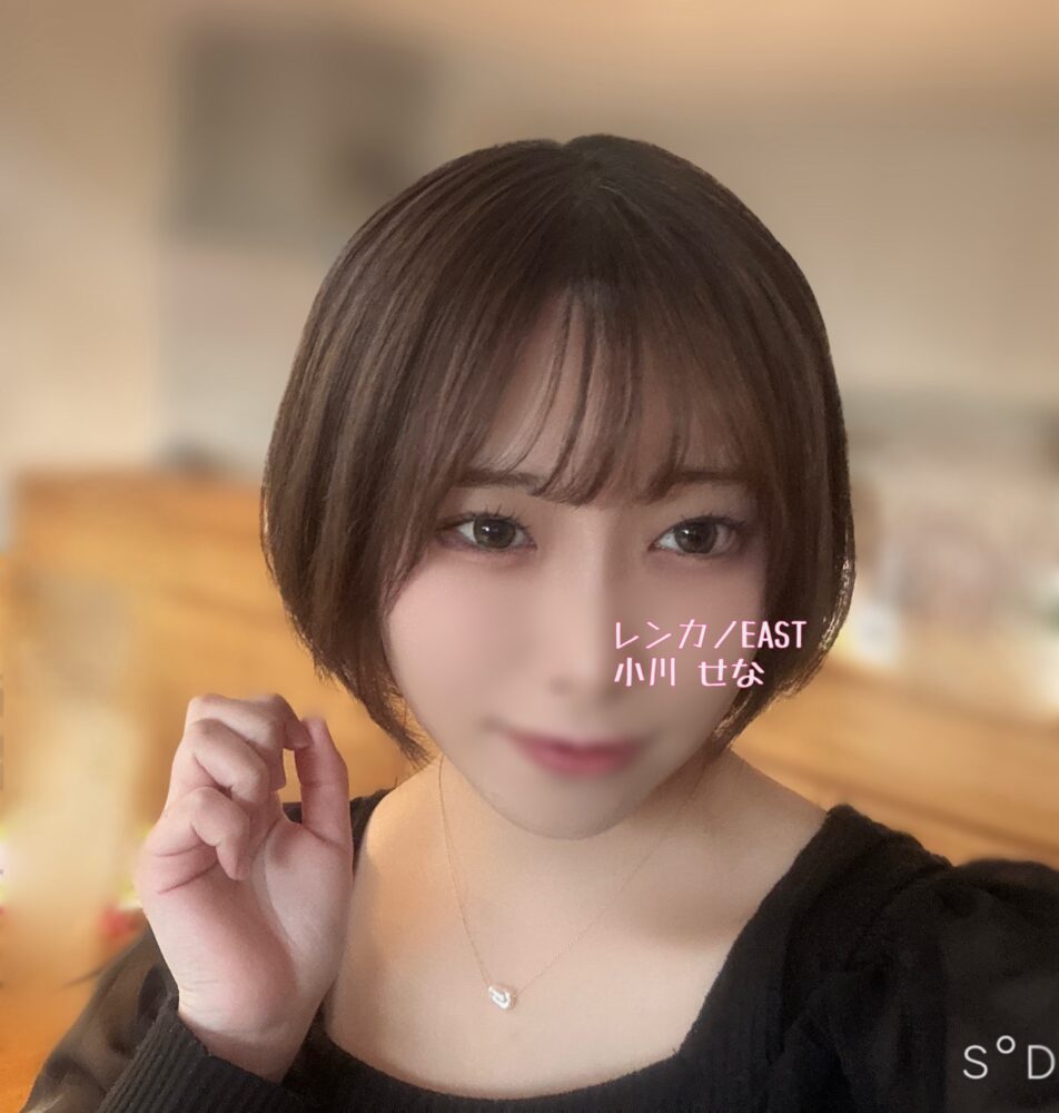 動物カフェ、気になってます🐱