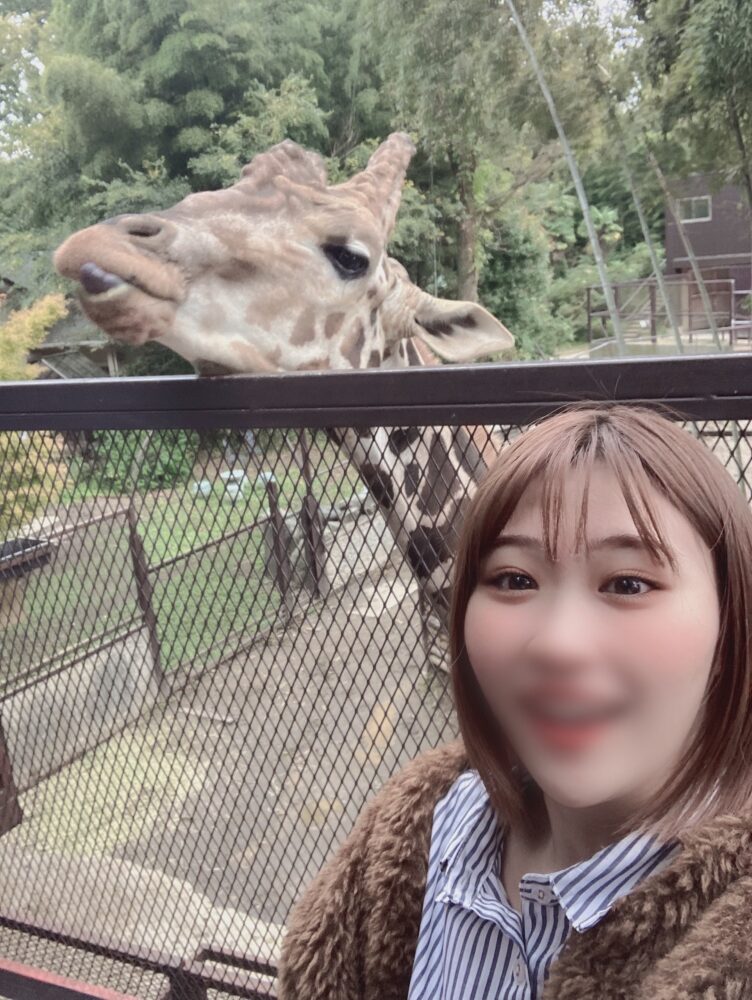 動物たくさんいた〜🌼