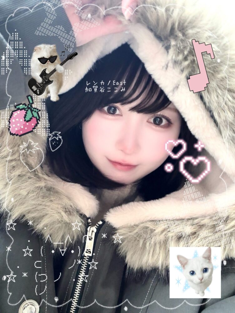 冬は痛風鍋です( ⁎ᵕᴗᵕ⁎ )🌸