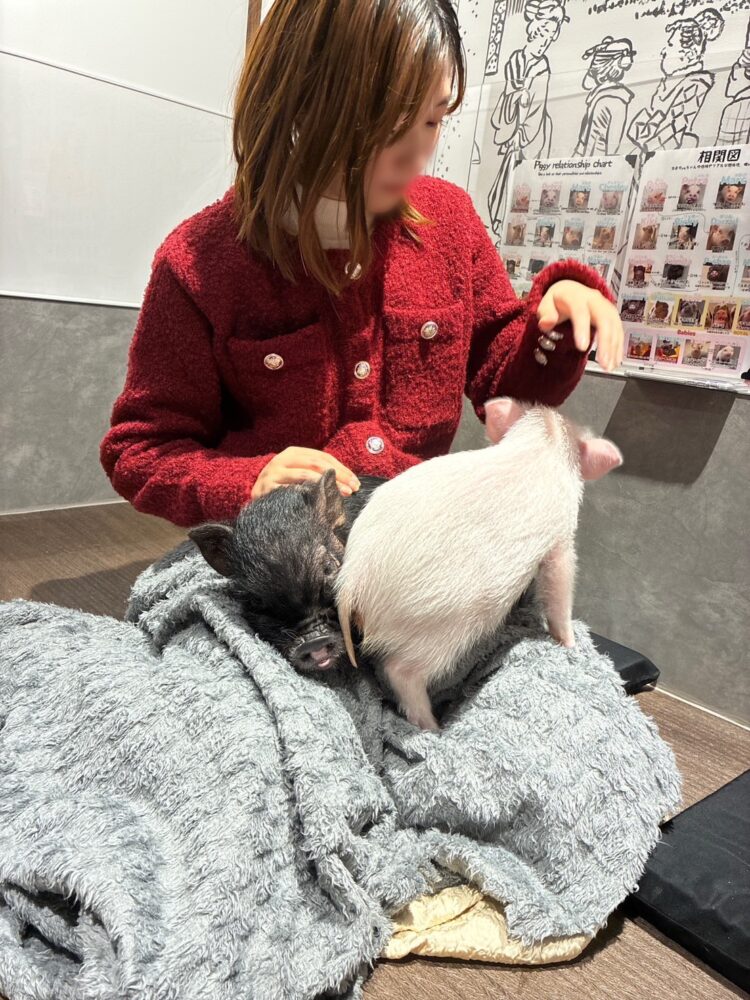 癒しの究極💗ずっといたかった…🫧