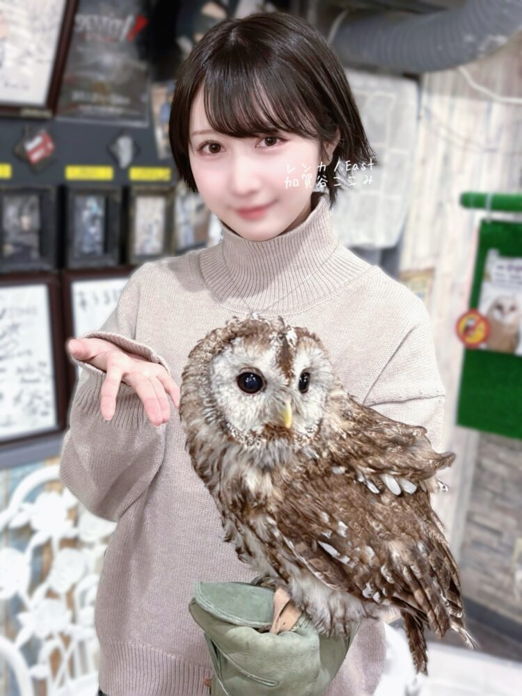フクロウ触れ合いデート🦉♡