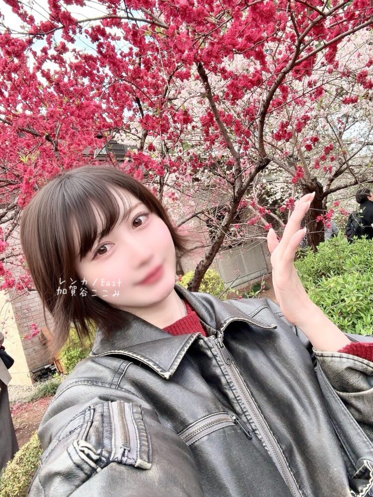 桜〜満開〜🌸•͈ᴗ⁃͈🌸