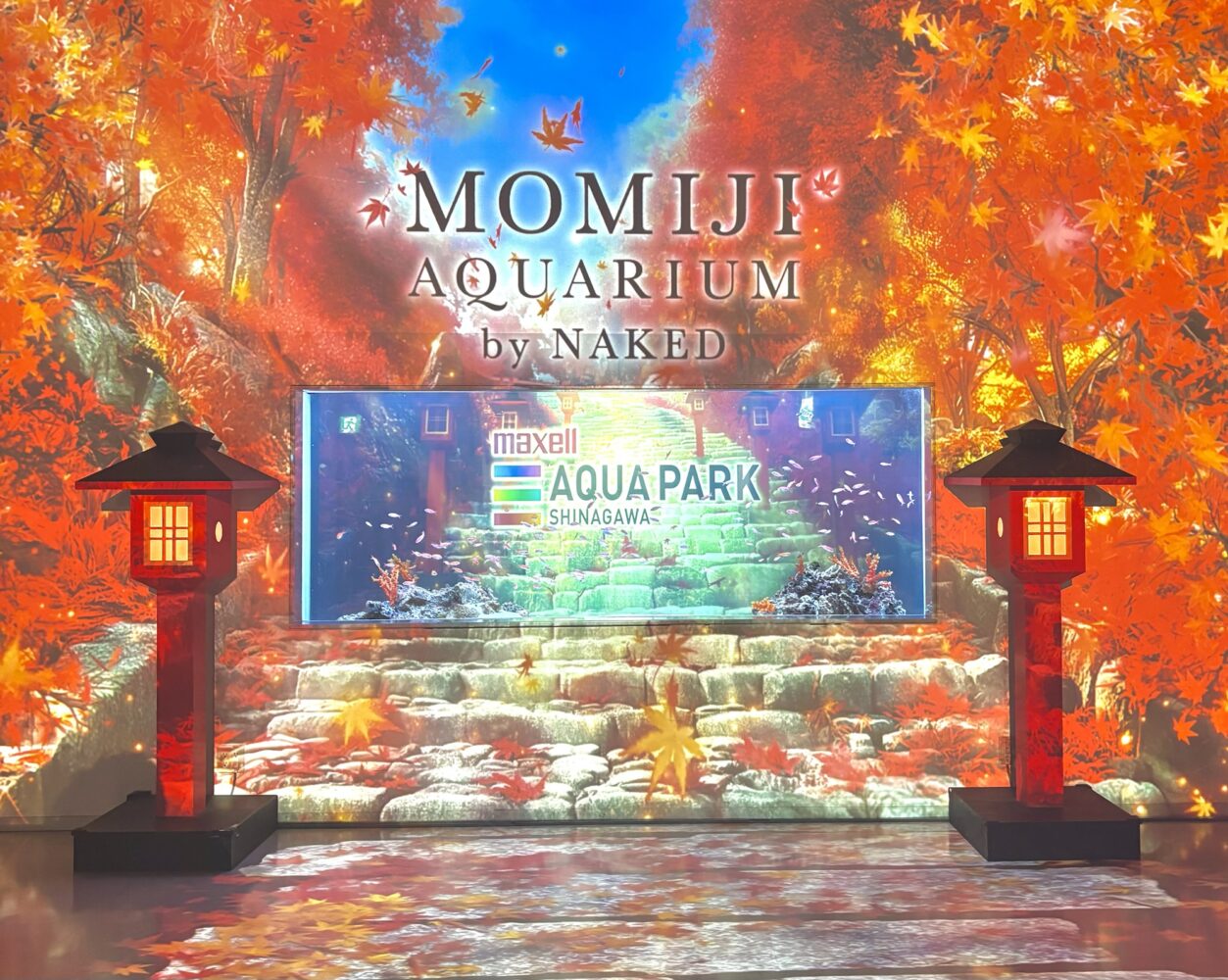 品川アクセルアクアパークに行ってきたよ〜!🐠🍁