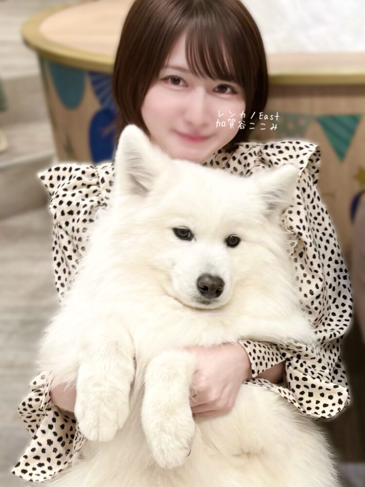 サモエドカフェデート🐶♡